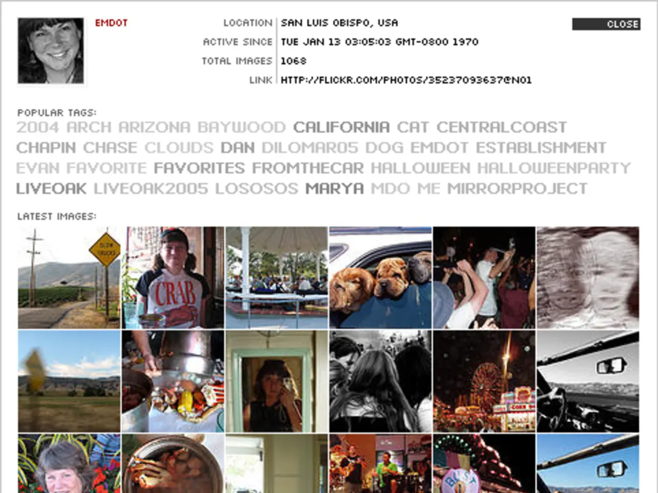 Lymphatic Cells: Abundance, Boundaries, and Roles