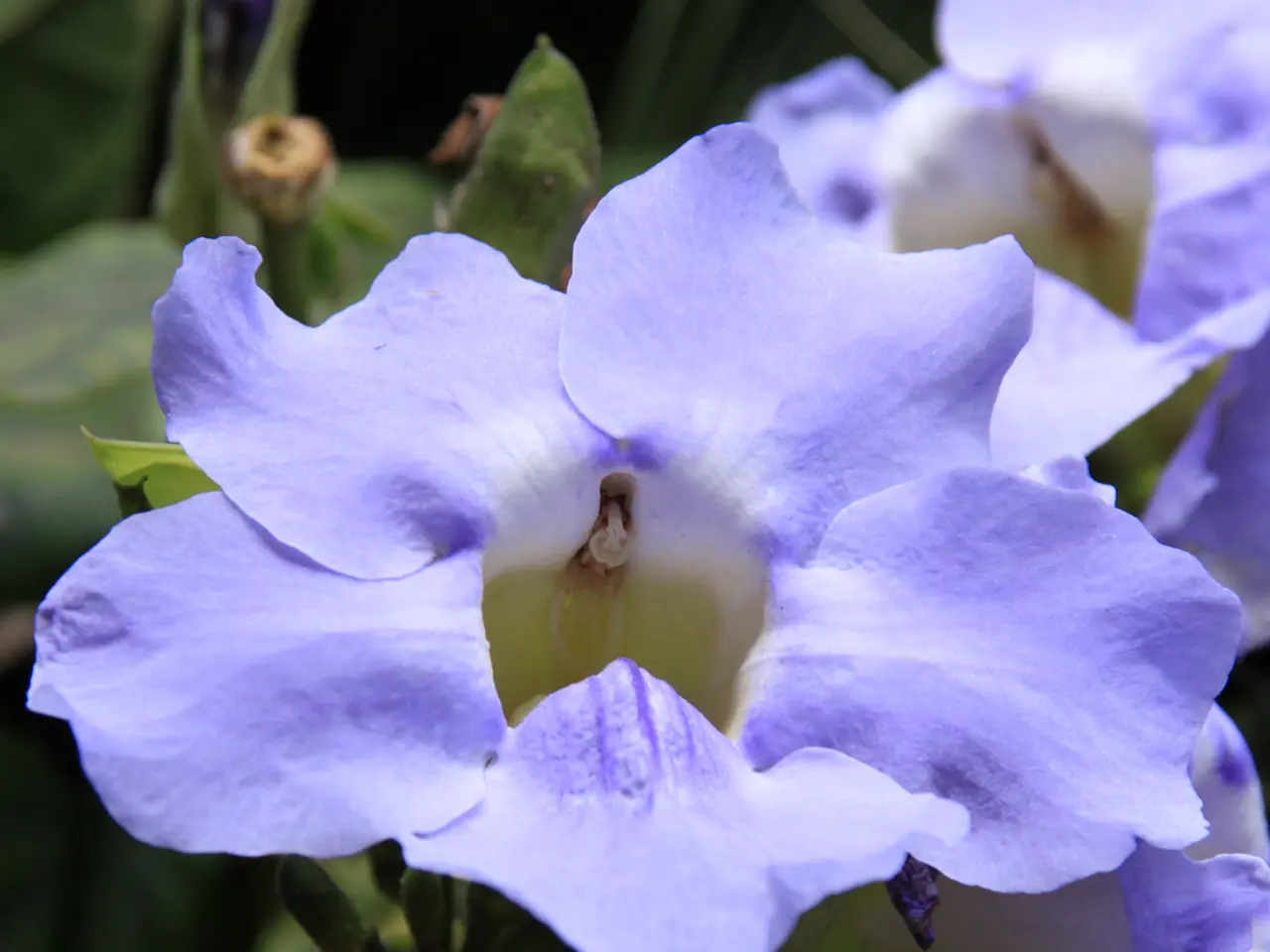 Daily Habits for a Productive Daybreak