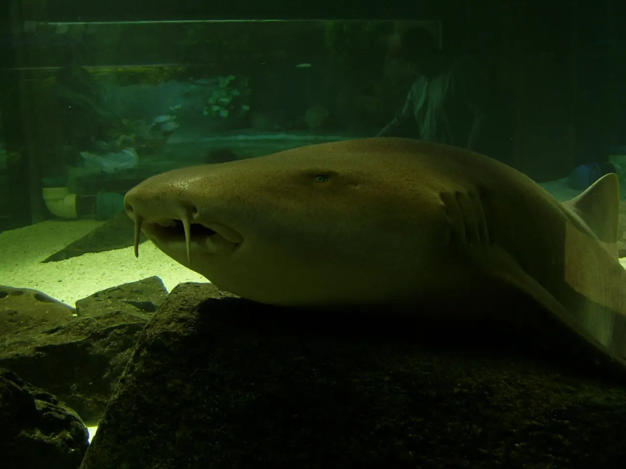 The Importance of Frequent Filter Replacements in Oxygen Concentrator Devices