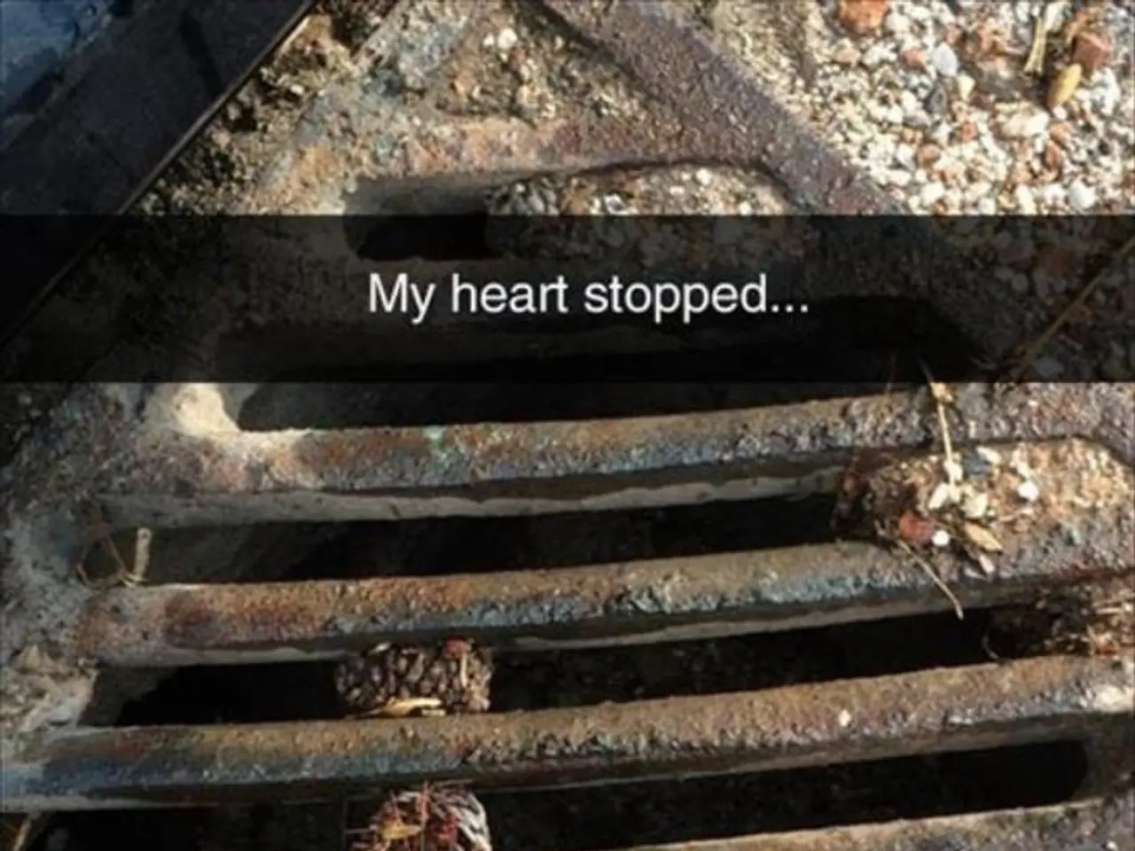 Heart failure in its decompensated state: Symptoms, medical interventions, and further insights