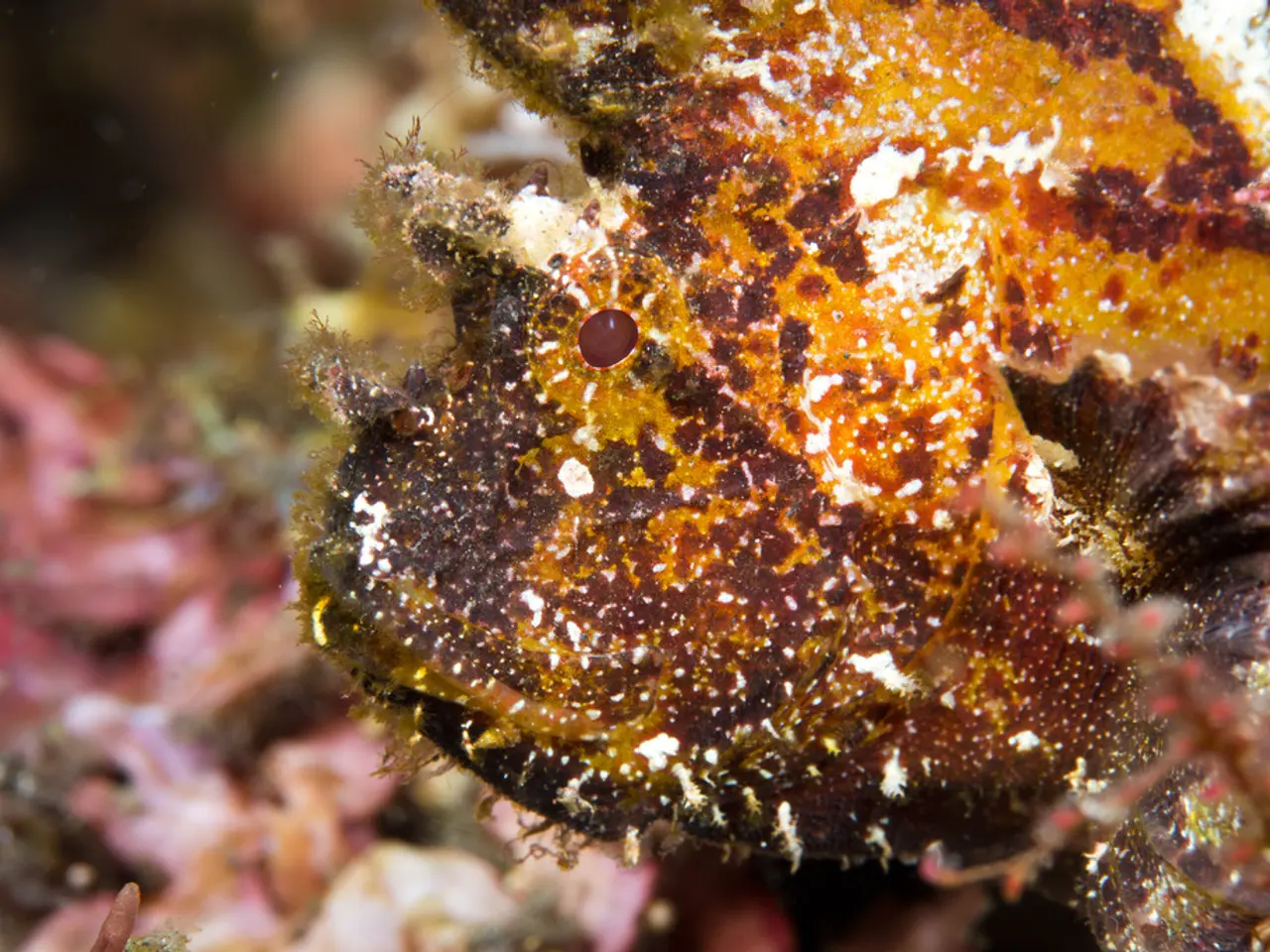 Revolutionary hydrogel establishes a new benchmark, maintaining adhesion underwater, capable of...