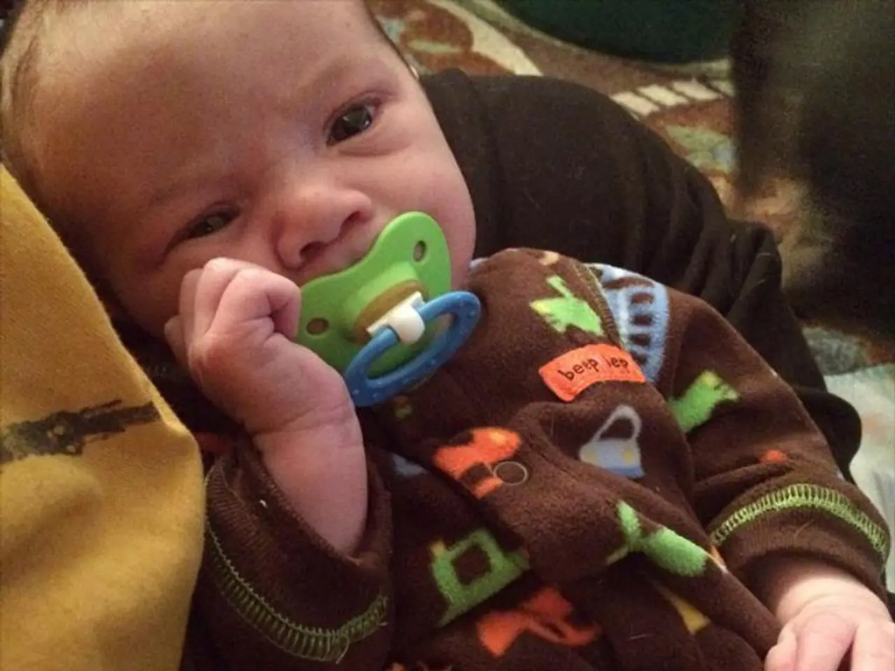 Feeding tubes function by bypassing the mouth and esophagus to deliver nutrients directly into the...