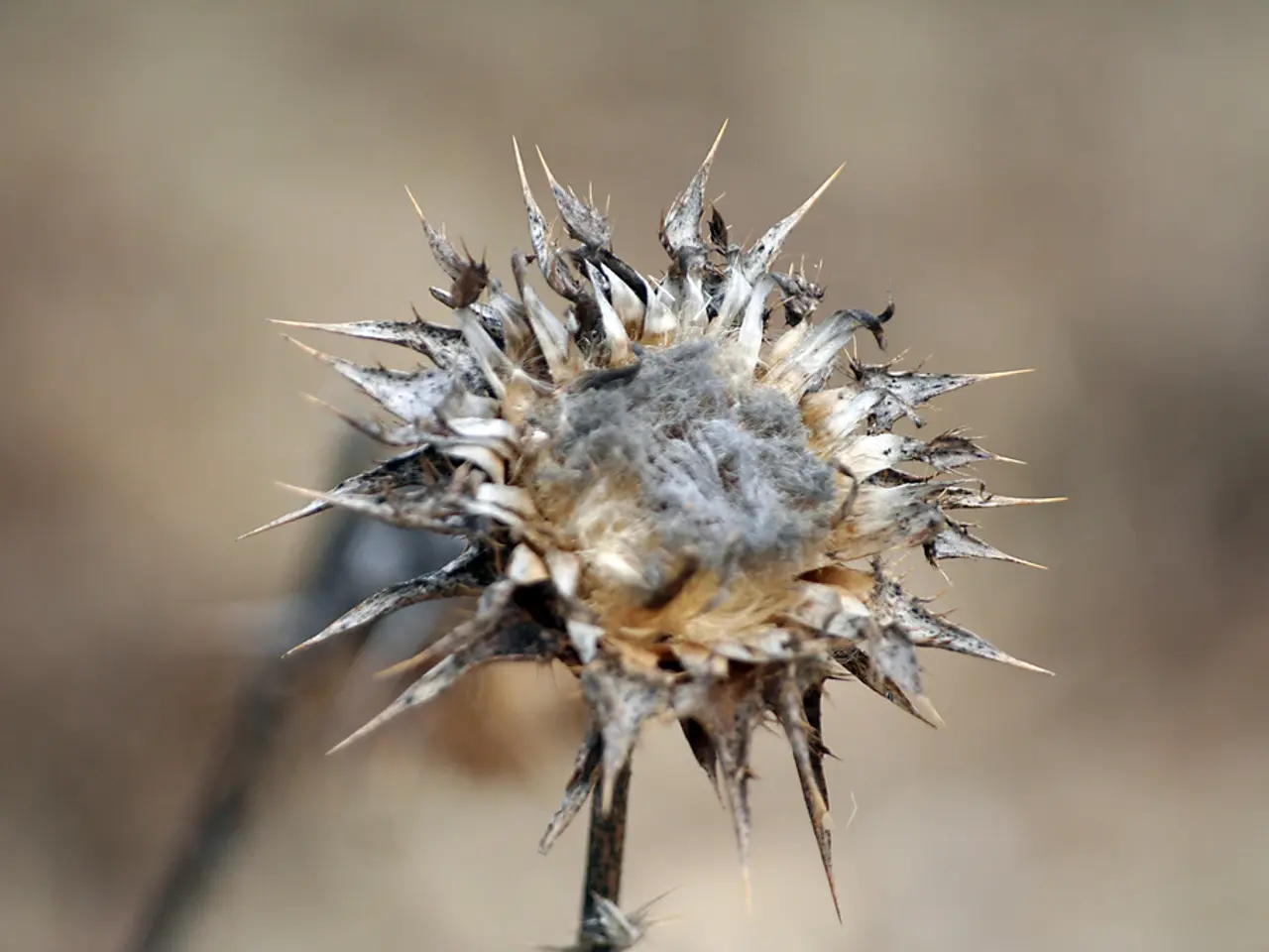 Scientifically Backed Treatment for Dry Peeling Skin