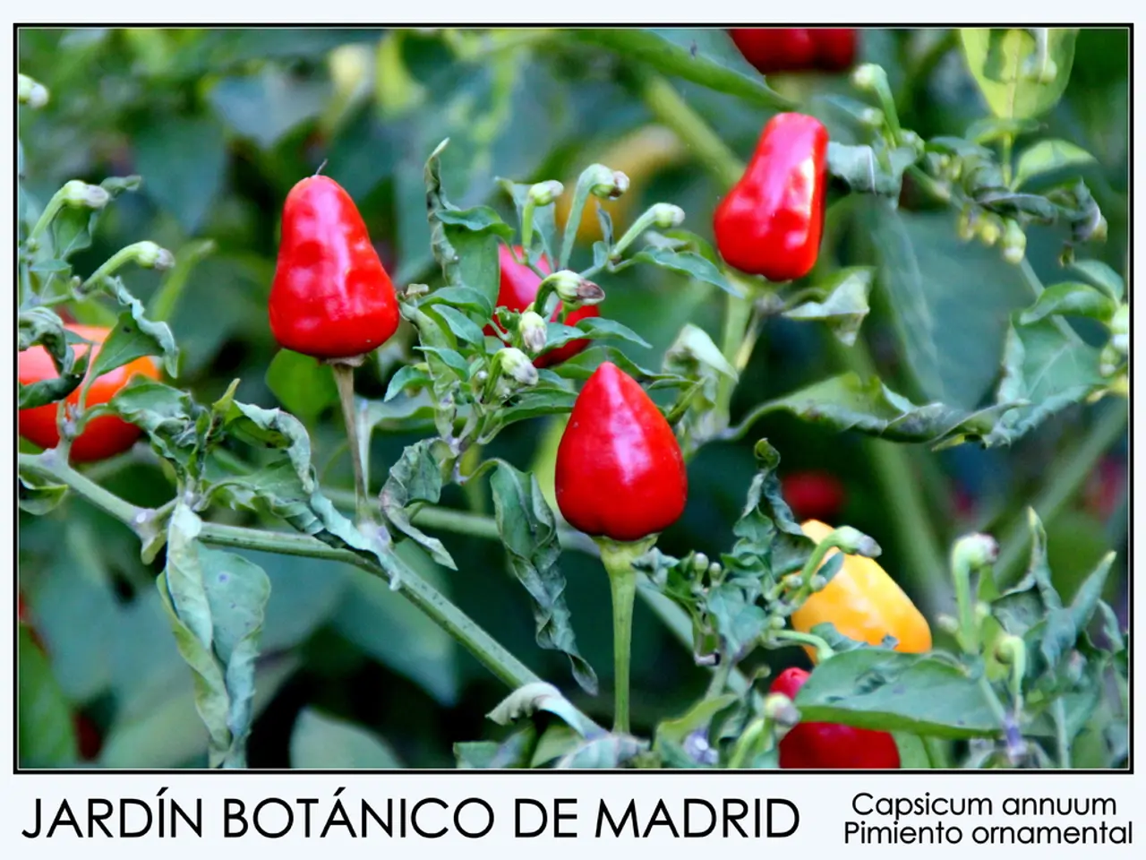 Crisis brought to a standstill: the ongoing pandemic causes a halt in progress.