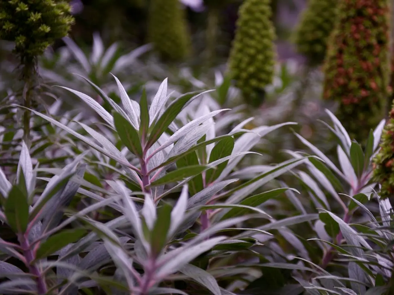 Farmers will have access to these newly developed plant protection products by the year 2026, as...