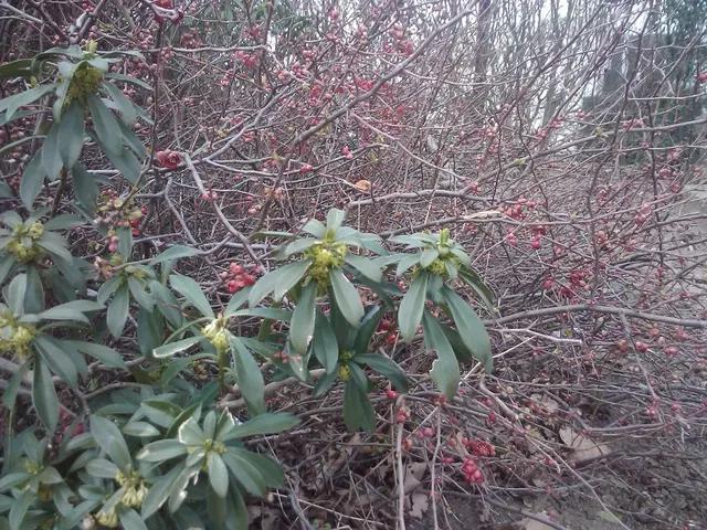 Right-Sided Headache: Understanding Causes, Significance, and Prompt Relief Strategies