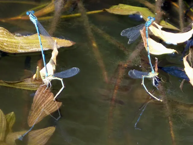 Swimming in Omsk Lake Linked to Skin Irritations