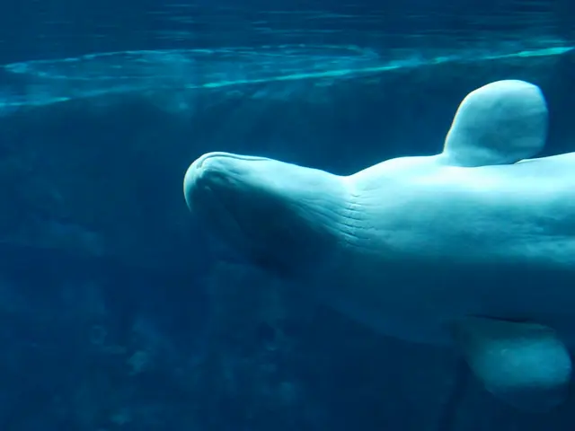 Lake Water Quality: Key Factors to Consider before Diving In