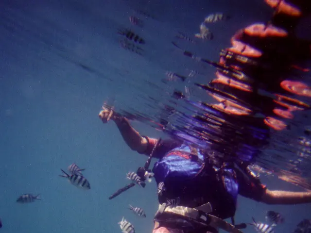 Experiencing Thrills DespiteRaynaud's Condition: A Tale of Braving Cold Waters