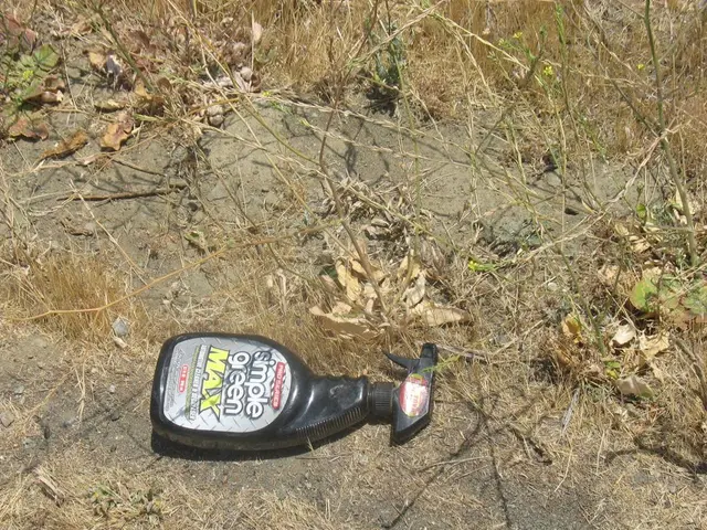 Plants that Amplify: Nutrient-Rich Plants to Advance Soil Vitality