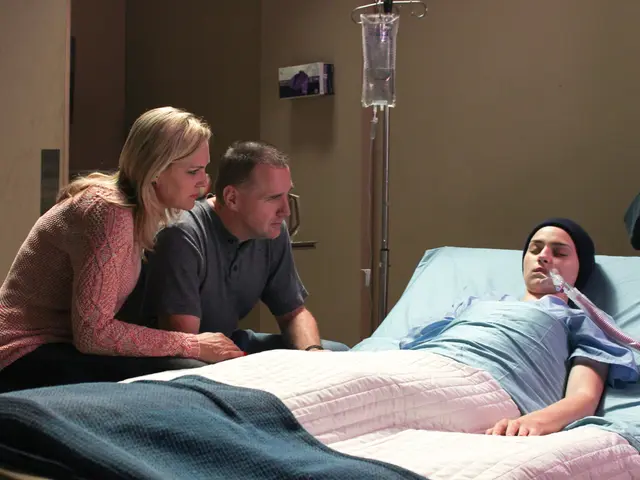 Silencing Your Beloved Chicken Coop Residents at Night: A Comprehensive Guide