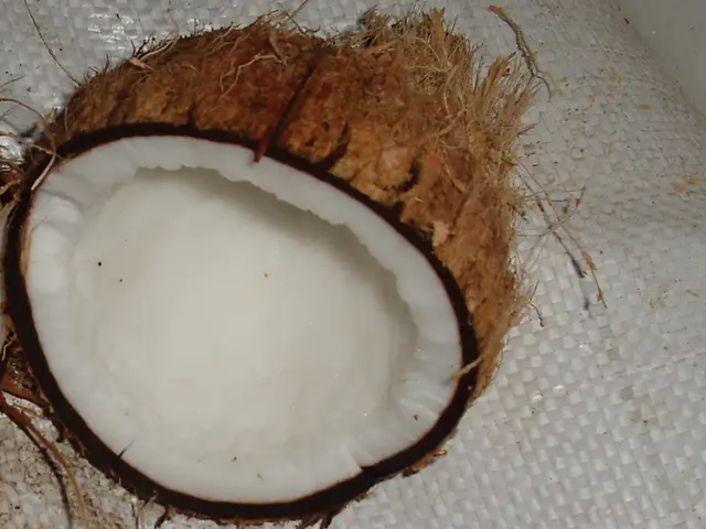 Is Coconut Oil Beneficial for One's Health?