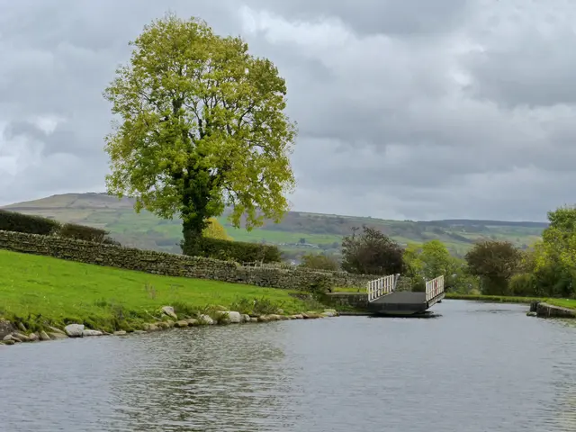 Consumption of daily water intake: What quantity of fluid should one consume daily?