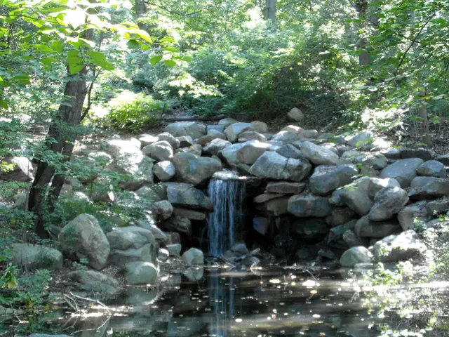 Interpreting the Hidden Symbolism in Nightly Visions