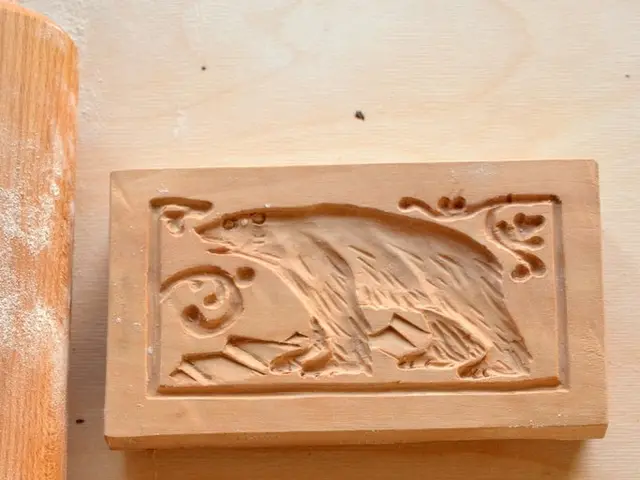 Investigating mould in your dwelling serves multiple benefits for both your residential space and...