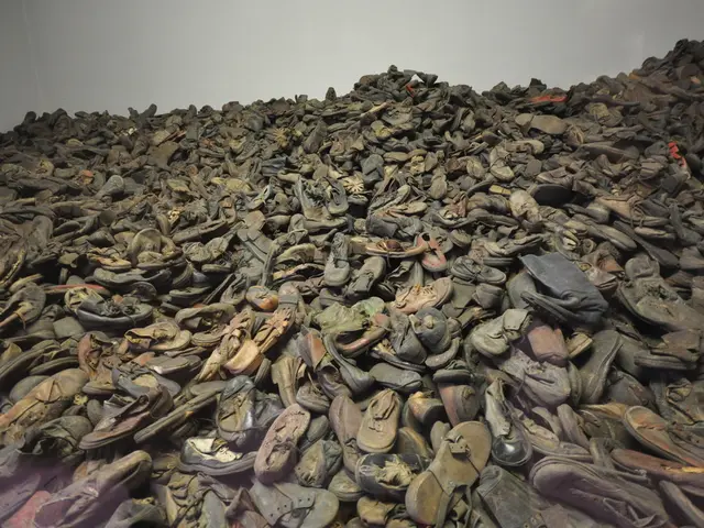 Uncovering the Mystery Behind the Appearance of Huge Roman Footwear at Hadrian's Barrier