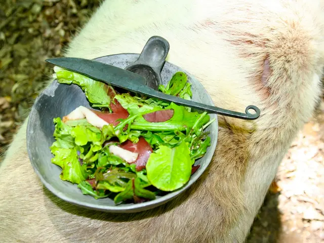 Diverticulitis: Causes, Signs, and Remedies