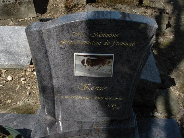 End-of-Life Guidance from a Death Doula: Insights Gleaned from My Profession