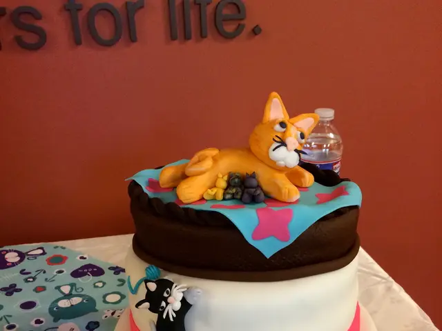 Serotonin Role, Deficiency, and Enhancement Strategies