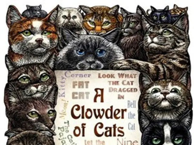 Bureaucratic barriers negatively impact animal care.