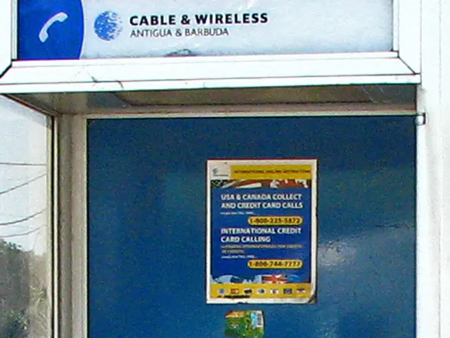 Unbarred Telehealth and Seamless Integration Vital for Accessible Healthcare Services