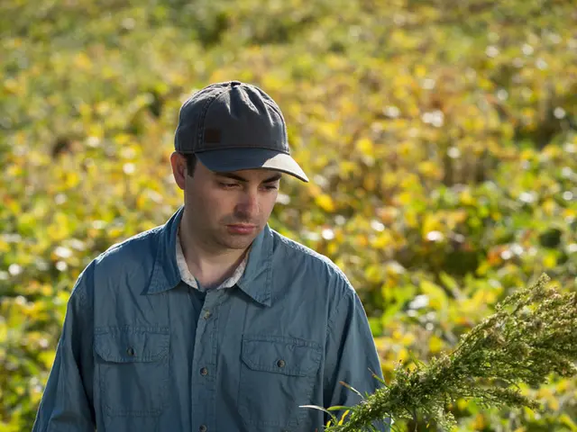 Men's Skincare Essentials: Explanation and Commencement, Role of Herbs, and Further Information