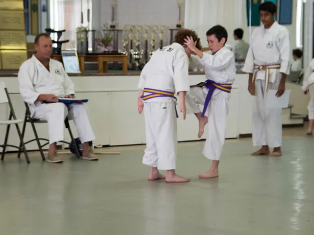 Brain Function Sidesplit: The Distinctiveness and Dominance of Left and Right Hemispheres