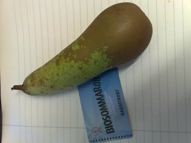 Gout relief through apple cider vinegar: Advantages and alternative treatments