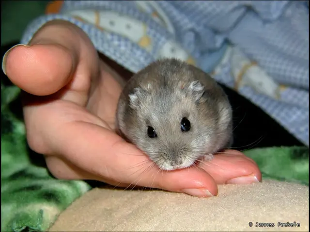 Scientists Discover Strategy for Halting Mental Deterioration Post Radiation Exposure