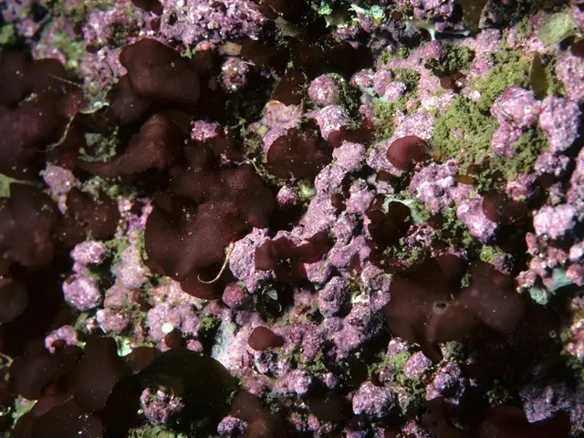 Chemical Innovation Recognition Event of 2024