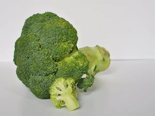 Health Advantages, Nutritional Information, and Guidelines for Consuming Broccoli