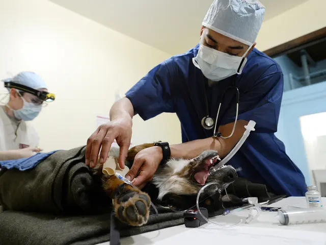 Removing warts with duct tape: Is it effective, and what's the process?