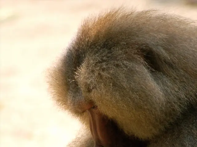 Liver Enlargement: Recognizing Signs, Underlying Causes, and Remedies