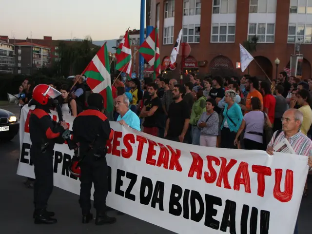 Examining Legal Advocacy Focusing on Mental Health in the Public Sphere