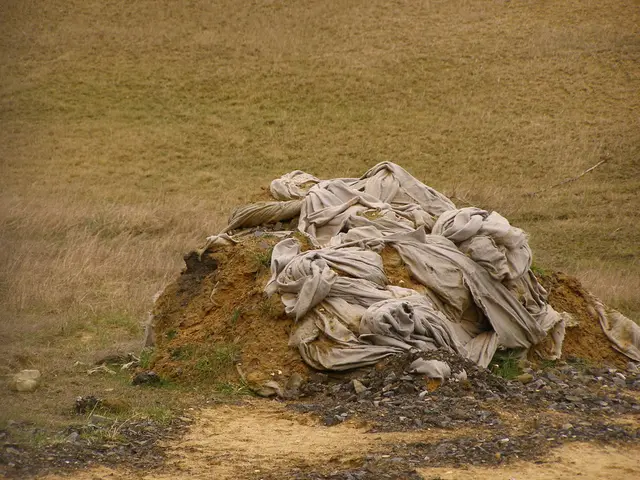 Exploring the practice of dry humping: its potential advantages, drawbacks, and key aspects.