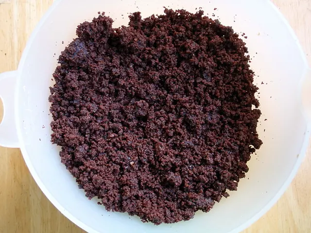 The impact of digestive bacteria on ulcerative colitis: an exploration