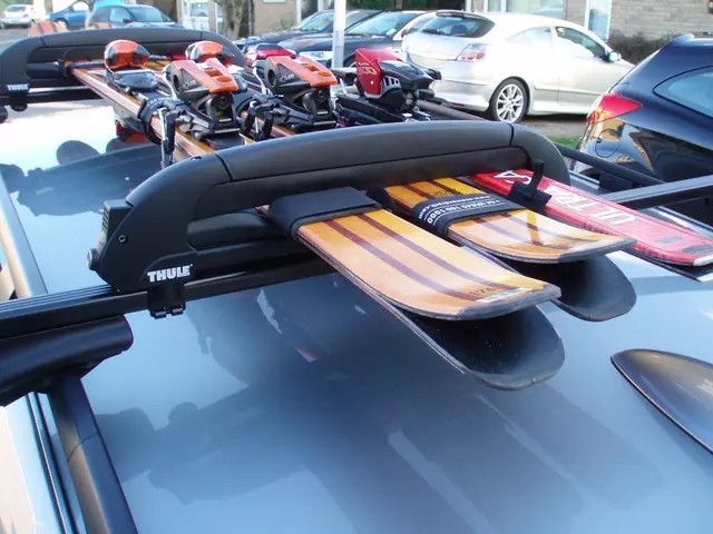 Researchers uncover substances promoting cell resistance against various viruses