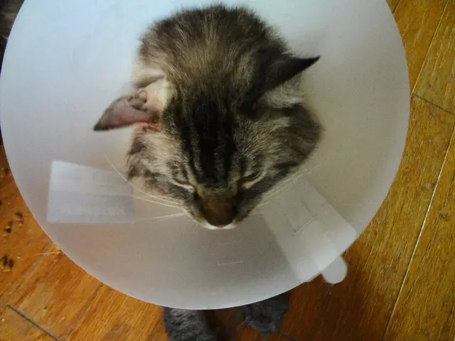 Biotech firm Anaconda Biomed receives approval for the use of its ANA5 Funnel Catheter, according...