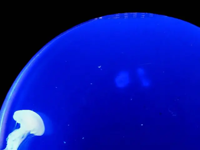 CMBB Administrative Building