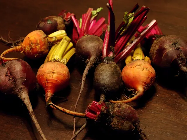 Older Adults May Experience Lowered Blood Pressure With Beetroot Juice Consumption, But Oral...
