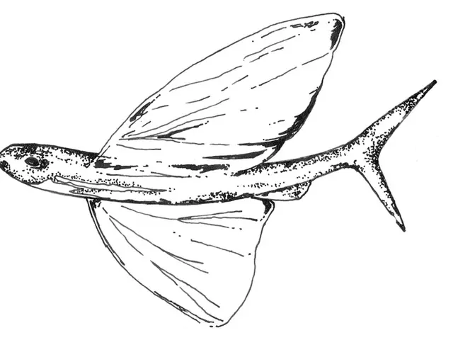 Fish Choices: Swai Offers More Benefits for Your Health and the Environment than Catfish