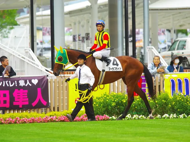 Farmers' Journey to Recuperation Following Hip or Knee Replacement Surgeries