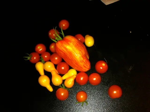 Indian Powerhouse Fruit Amla Boasts Boosts for Immune System and Lifespan