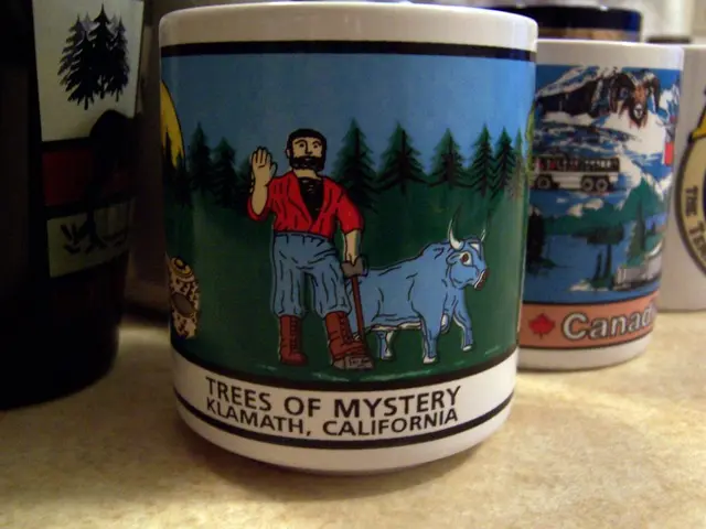 Surgical Methods for Enhancing Breast Size