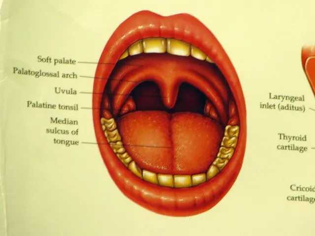 Lip Irritation: Reasons, Signs, Therapeutic Approaches, and Further Information