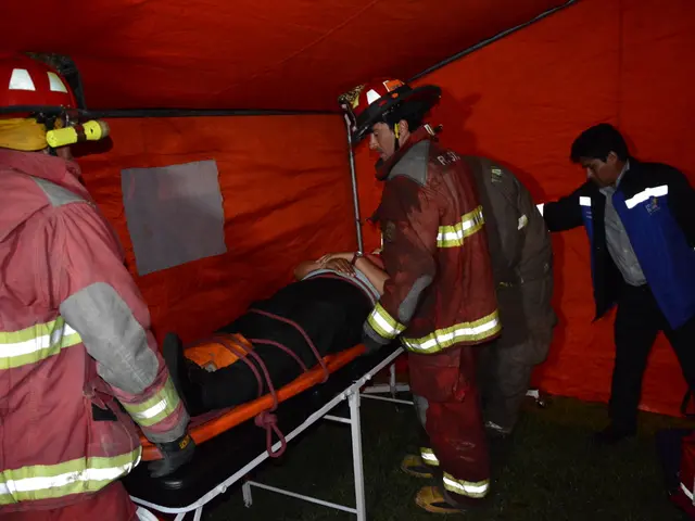 Primary Survey Structure in Wilderness Emergencies: A Practical Field Study Method for Trauma...