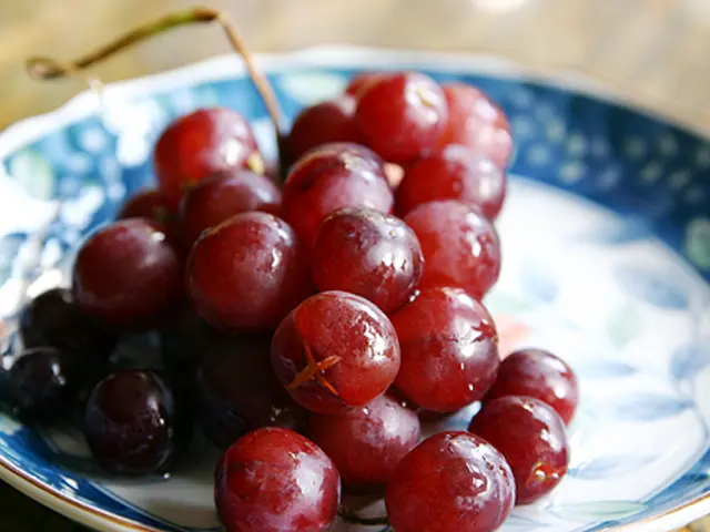 Freshly Available: Enjoy Bing Cherries at Their Prime