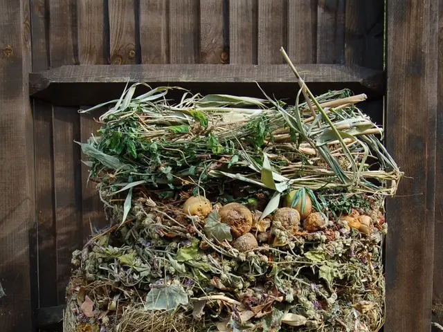 Instructions for Overseeing the Ecological Balance in Summer Season