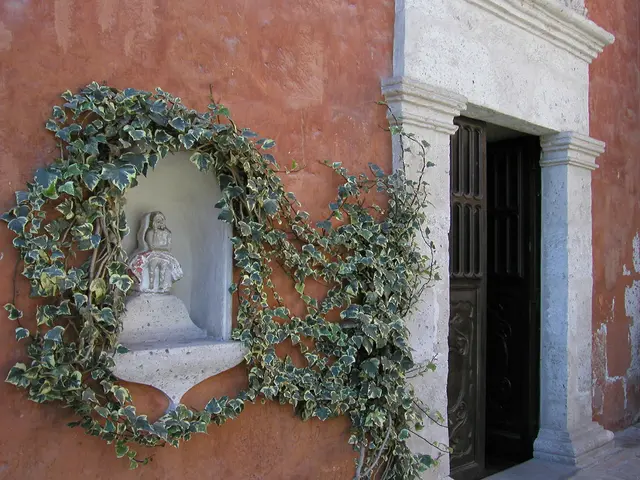 Unseen companion: The Person Invisible to the Eye