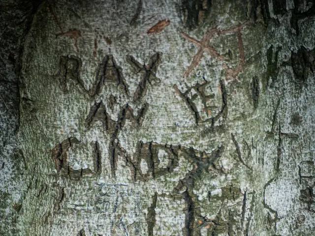 Uber Rolls Out Senior-Friendly Accounts and Simplified Usage Features throughout the MENA Region